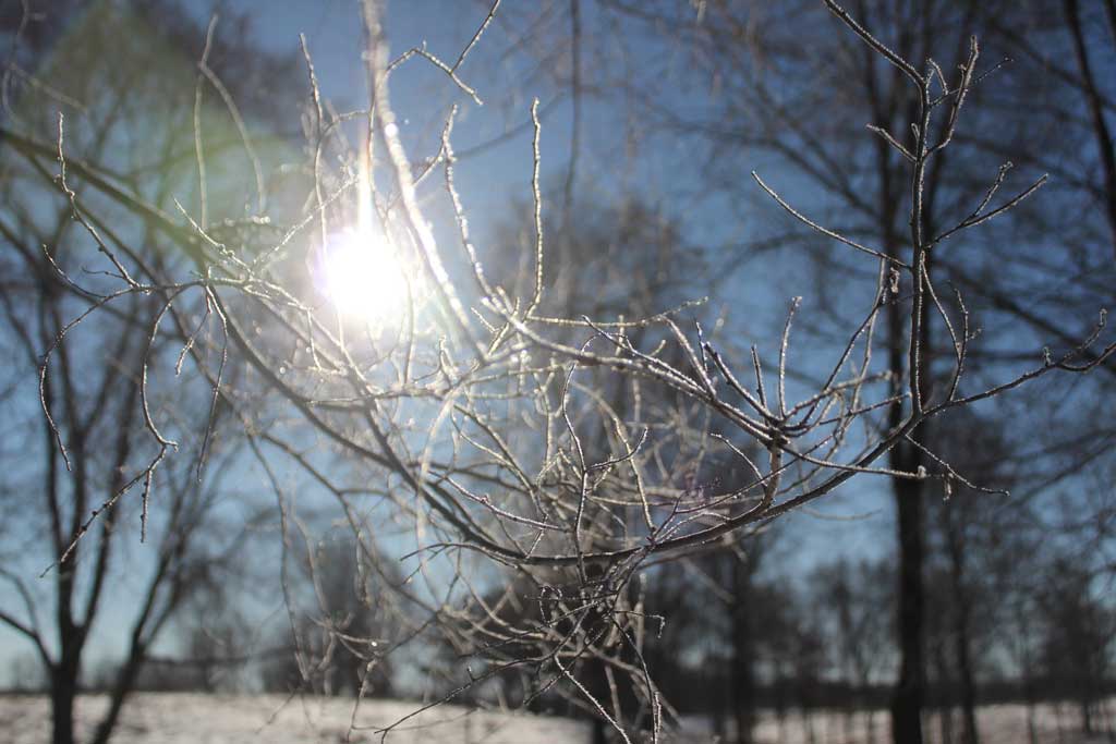 Sun in the ice